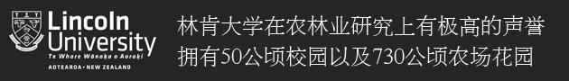 ֿϴW(xu)